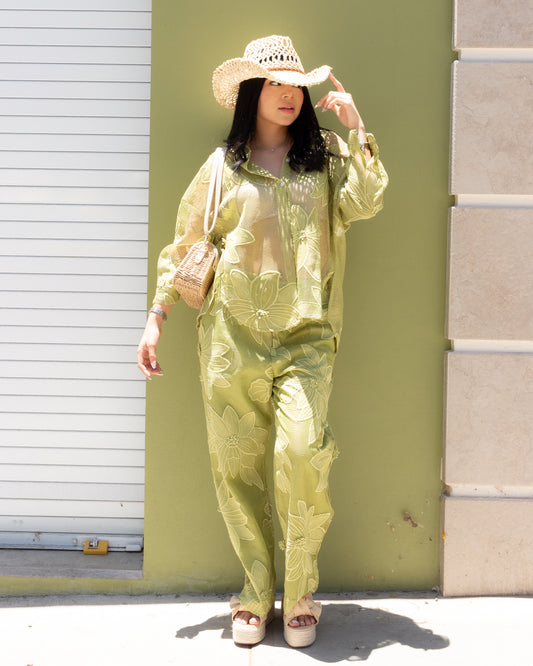 CONJUNTO HOJAS TRANSPARENTE